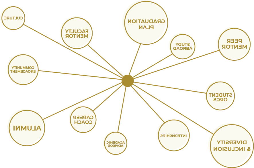 图形显示下列文字:毕业计划, peer mentor, study abroad, student orgs, diversity and inclusion, internships, academic advisor, career coach, alumni, community engagement, culture, faculty mentor